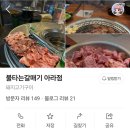 불타는갈매기 이미지