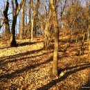 왕산1리 이미지