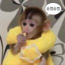 에스피애드 네이버블로그
