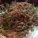 복둥이농장 이미지