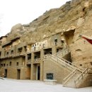 유림-1013 이미지