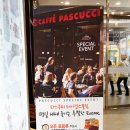 파스쿠찌레이킨스몰점