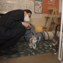 디즈니치과의원 이미지