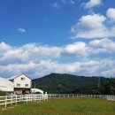 분당승마클럽 | 서울승마체험 경기도승마체험 추천｜아이와 가기 좋은 용인말떼목장 후기