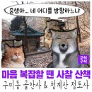골안 약수터 | [성남여행]마음 복잡할 땐 사찰 산책, 구미동 골안사 &amp; 청계산 정토사