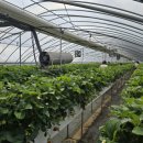 배재대학교부속어린이집 이미지