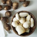 주식회사 더내추럴 쇼핑하우