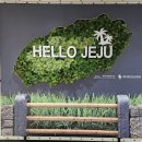 주식회사올레전자 | [제주] D+1 / 우진해장국, 도두동 무지개해안도로, 이호테우해변, 이재모피자제주