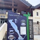 1381 | [강원도 정선] 가리왕산 케이블카 정복! 1381m 정상 뷰 (상품권 꿀팁 포함)