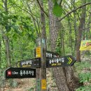 숲속나들이길 이미지