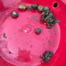 사궁두미 | 내가 숨겨둔 창원 낚시 보물터, 창원노지캠핑 사궁두미 다녀온 후기