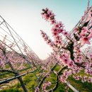 과일나라테마공원1 이미지