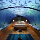 두리농원 이미지