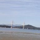 금카페 - 제주시 중앙로 75 | 금카페