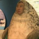 복닥복닥