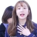 쏘스윗펫 이미지