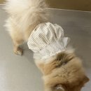 옥희미용실 이미지