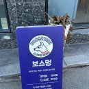 보스멍 이미지