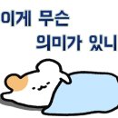 APENNER(아페너)