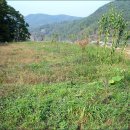 내곡농장 이미지