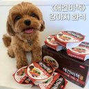 해동펫 | 펫퍼스 애견비책 강아지화식 글루텐프리 습식사료 추천 오리+야채 후기