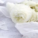 인천적십자병원 | 인천 적십자병원장례식장에서 치른 작은 서점을 운영하신 한 어르신의 장례후기