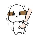 아이봄동물병원 네이버블로그