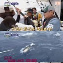도시어부 스포츠투데이