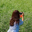 합성동043 이미지