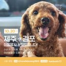 10월20일 제주 ➡️김포 아시아나, 대한항공을 이용하시는분의 도움이 필요합니다🙏🙏🙏🙏 이미지