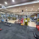 오렌지 휘트니스 이미지