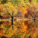 해방삼겹살 이미지