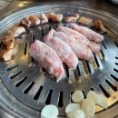 싱싱목장 이미지