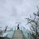 북천면사무소 | 하동 코스모스 메밀꽃 축제-이병주 문학관 - 알프스 밀밭 카페- 횡천루 중국집