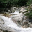 소금강 시즌펜션 이미지