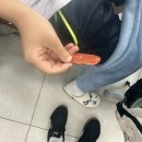 고구려대학교 | 기말이야기