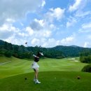 다솜스크린골프 | G. 골린이 추천 골프장 소피아그린cc, 황학~세종 코스 1부 후기