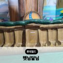 햇님 달님 | 롯데월드 키디존 어린이 놀이기구 햇님달님 운행시간 위치