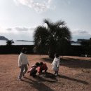 리인제주 이미지