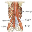 근육풀이 네이버블로그