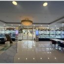 도그마루 강아지고양이 무료분양 이미지