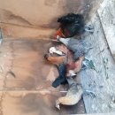 매송농장 이미지