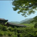 재약산 숲 야영장 Daum카페