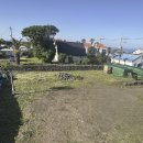 제주청개구리부동산중개 이미지