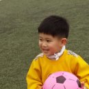 벌교스포츠센터 이미지