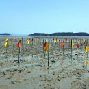 거차뻘배체험장 이미지