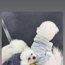 태담이네 하우스 이미지