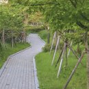 퍼머컬쳐