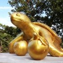 장수바위민박 이미지