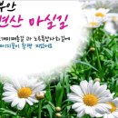 6월 6일(화) 부안 변산 마실길 2코스/ 한여름의 눈꽃 샤스타데이지/격포항/새만금방조제 .♡35,000원 조중식(찰밥) 이미지